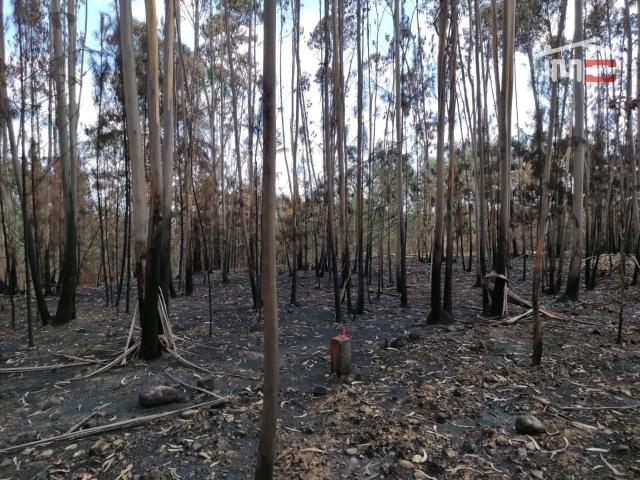 Terreno venda em Ourém, Santarém