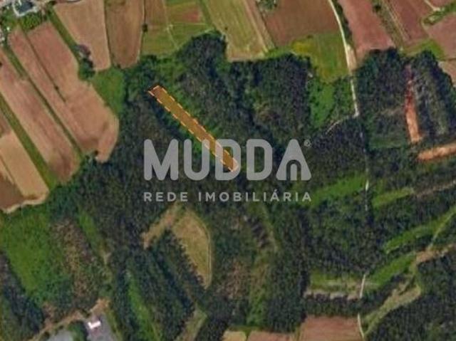 Terreno venda em Roçadas de Espinhos, Ovar