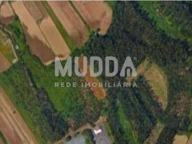Terreno venda em Roçadas de Espinhos, Ovar