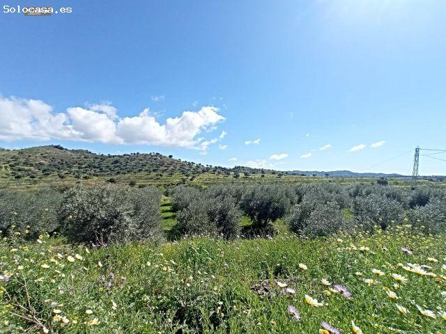 Local Comercial en venta en Málaga, Segovia
