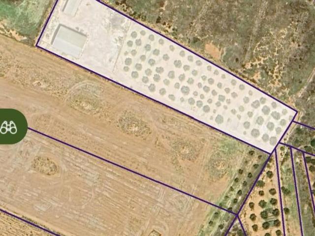 Terreno en venta en Palas - Pinilla, Fuente Álamo de Murcia