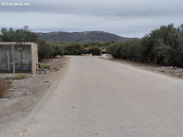 Local Comercial en venta en Virgen de las Huertas, Alto Guadalentín
