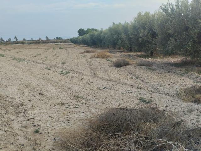 Terreno en venta en Bajo Guadalentín, Murcia