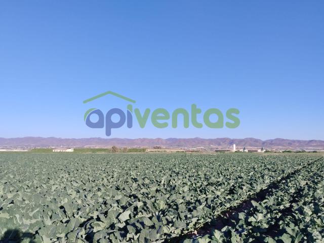 Terreno en venta en Virgen de las Huertas, Alto Guadalentín