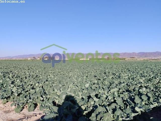 Local Comercial en venta en Los Abades y las Norias, Alto Guadalentín
