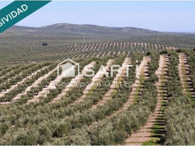 Terreno en venta en Campo De Criptana, Castilla-La Mancha
