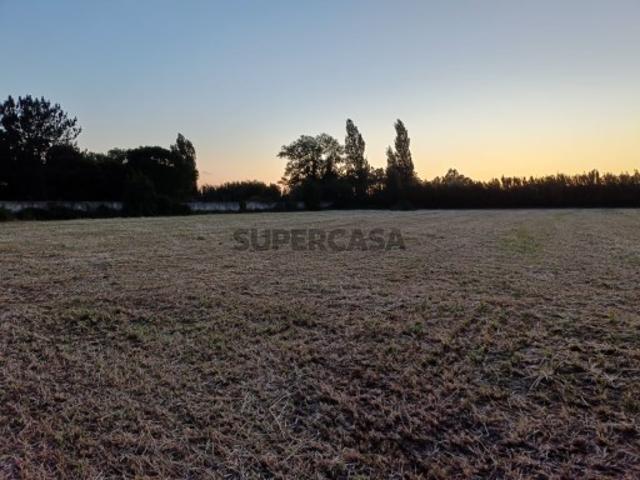 Terreno venda em Alcobaça, Leiria