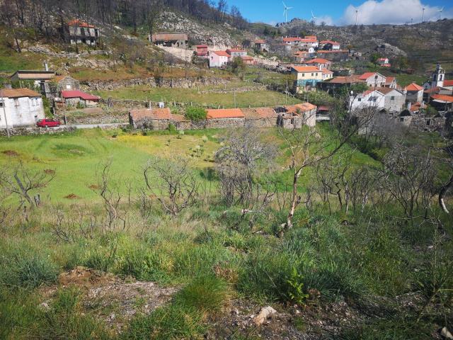 Terreno venda em Caparrosa e Silvares, Tondela