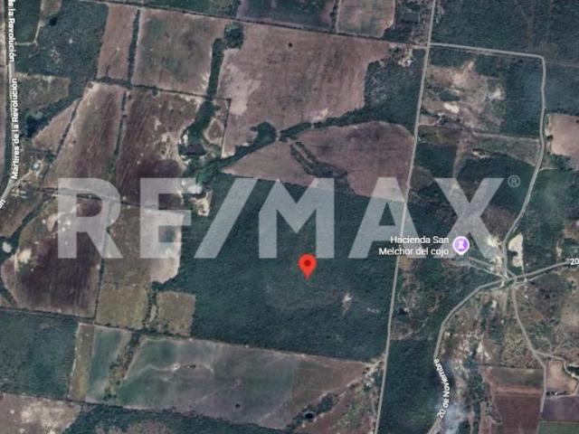 Quinta en venta en González, Tamaulipas