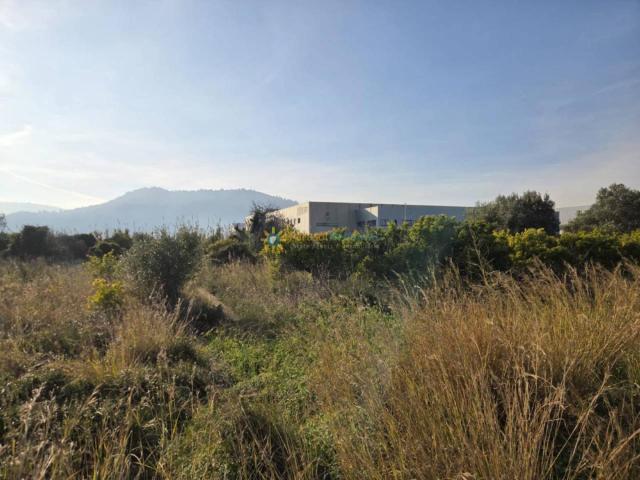 Terreno en venta en la Safor, Valencia