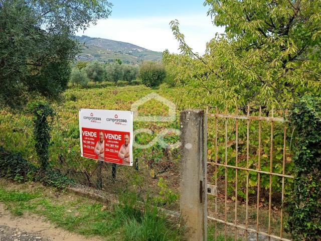 Terreno venda em Cambres, Lamego
