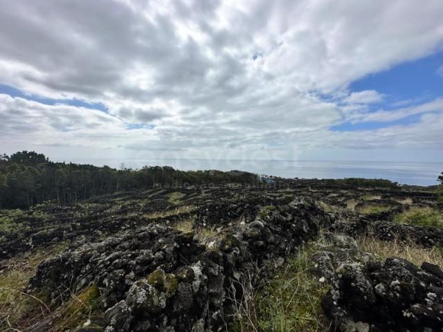 Terreno venda em Açores, Madalena