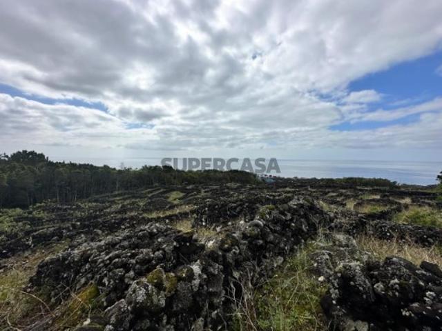Terreno venda em Açores, Madalena