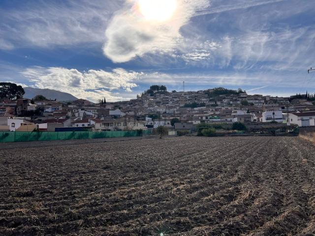 Terreno en venta en Deifontes, Granada