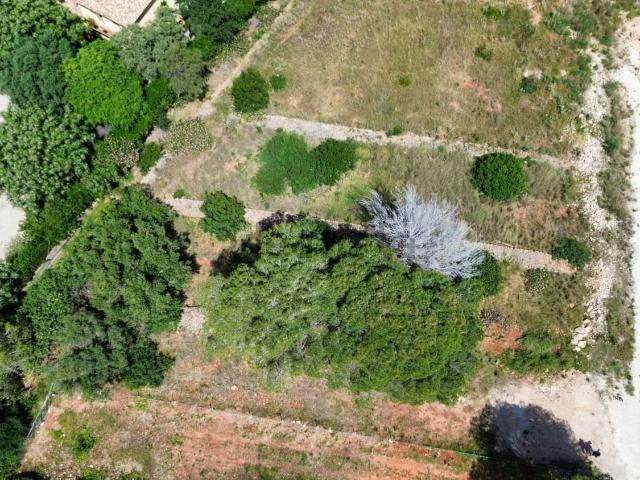 Terreno en venta en les Rotes, la Marina Alta