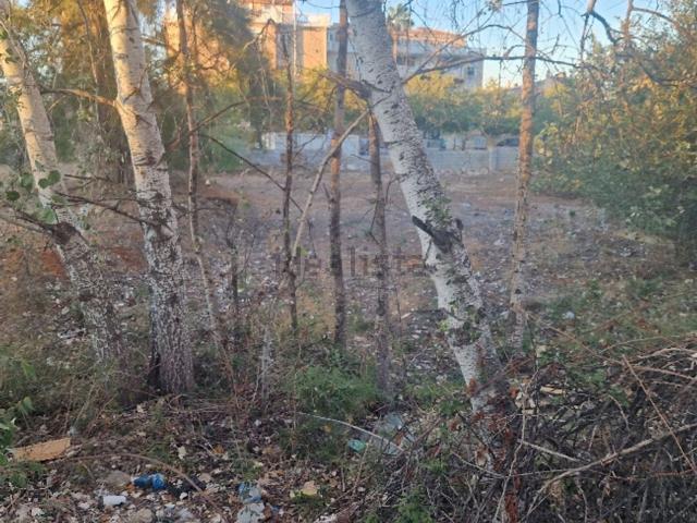 Terreno en venta en la Pedrera, la Marina Alta