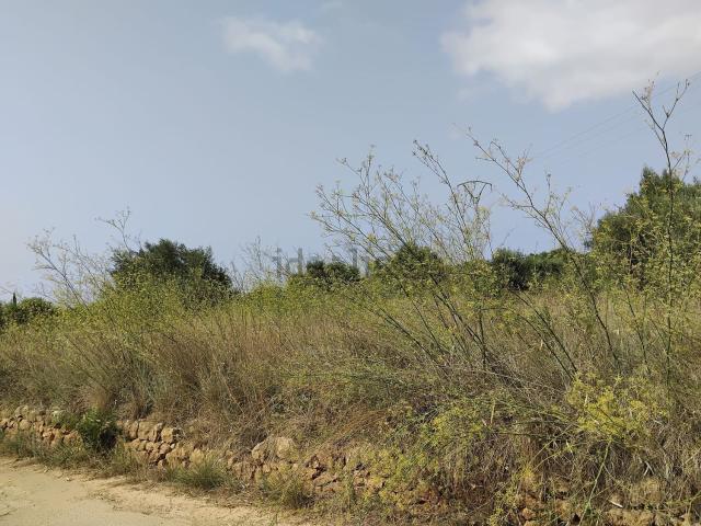 Terreno en venta en la Marina Alta, Valencia