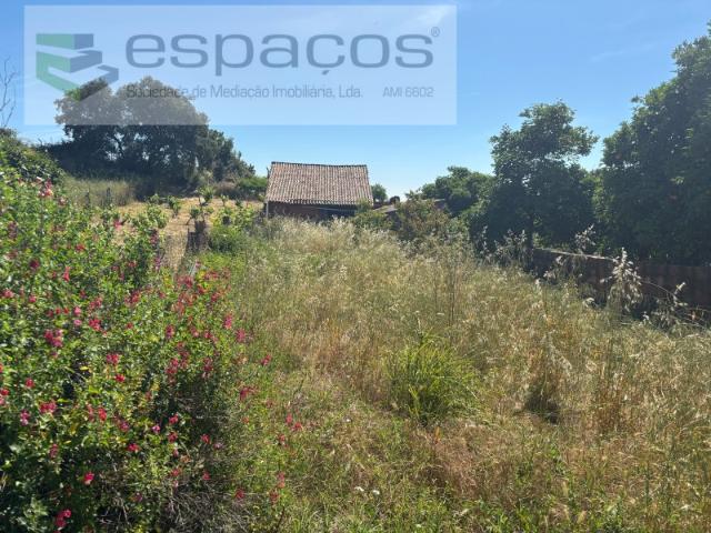 Terreno venda em Castelo Branco