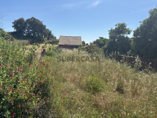 Terreno venda em Castelo Branco