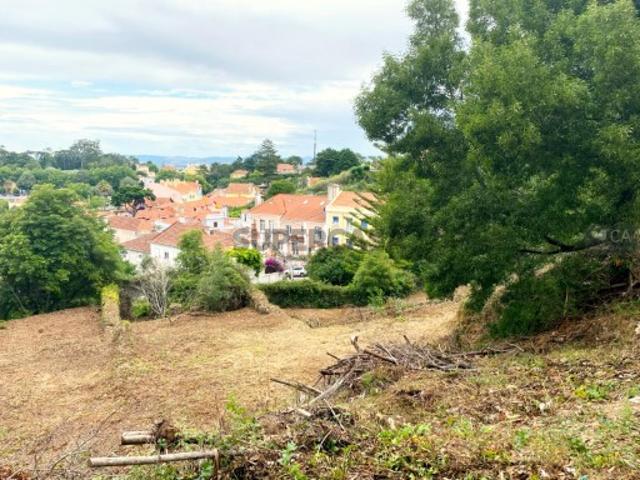Terreno venda em Sintra, Lisboa