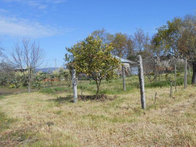 Terreno venda em Viseu