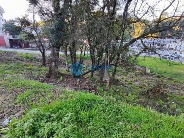 Terreno venda em Região Geográfica Imediata de Caxias do Sul, Caxias do Sul