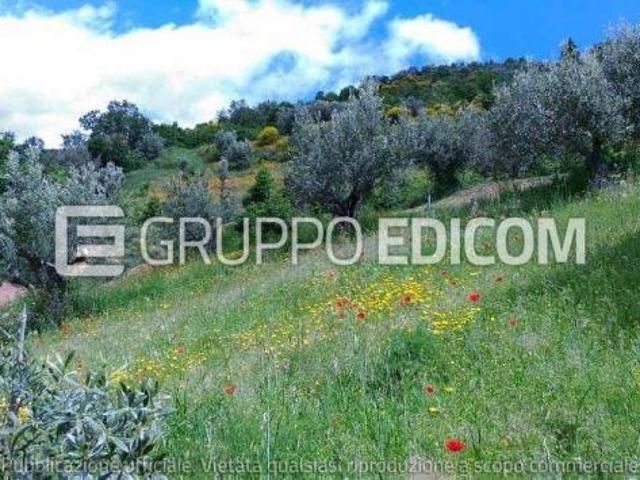 Terreno in vendita a Calabria, Cosenza