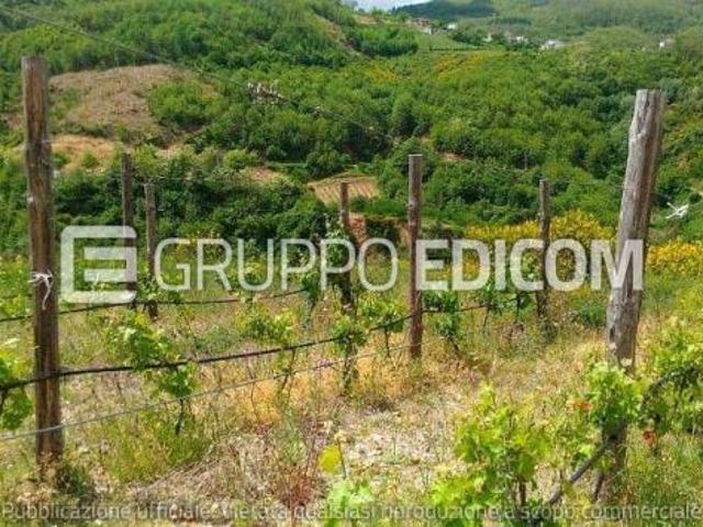 Terreno in vendita a Acri, Cosenza