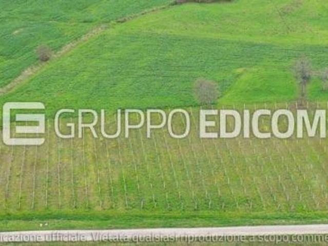 Terreno in vendita a Circello, Campania