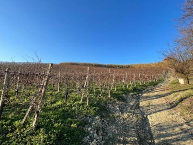 Terreno in vendita a Piemonte, Alessandria