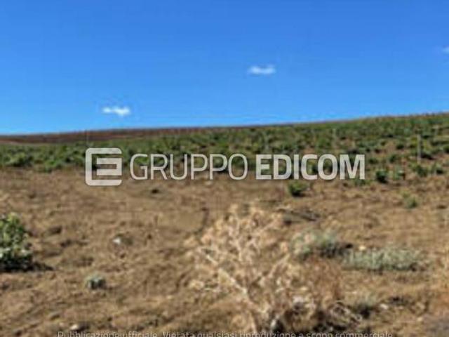 Terreno in vendita a Monreale, Sicilia