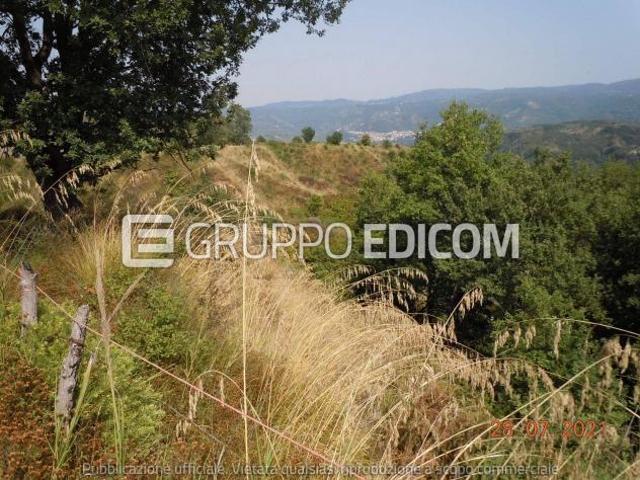 Terreno in vendita a Gerocarne, Vibo Valentia