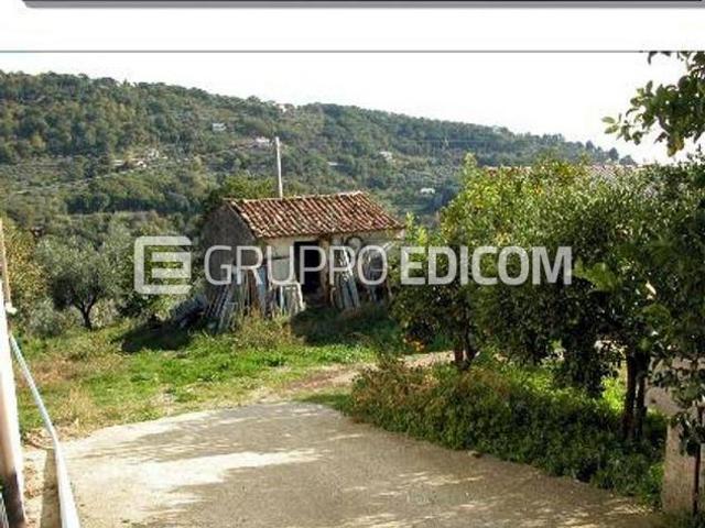Terreno in vendita a Platania, Catanzaro