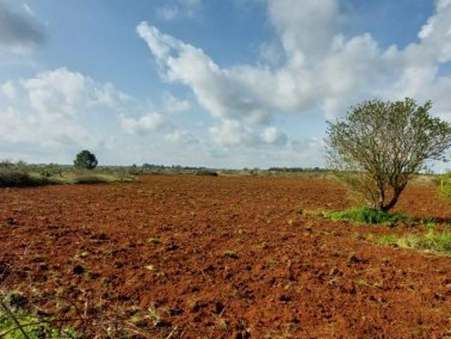 Terreno in vendita a Puglia, Lecce