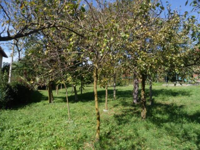Terreno in vendita a Comunità Montana Valli del Verbano, Porto Valtravaglia