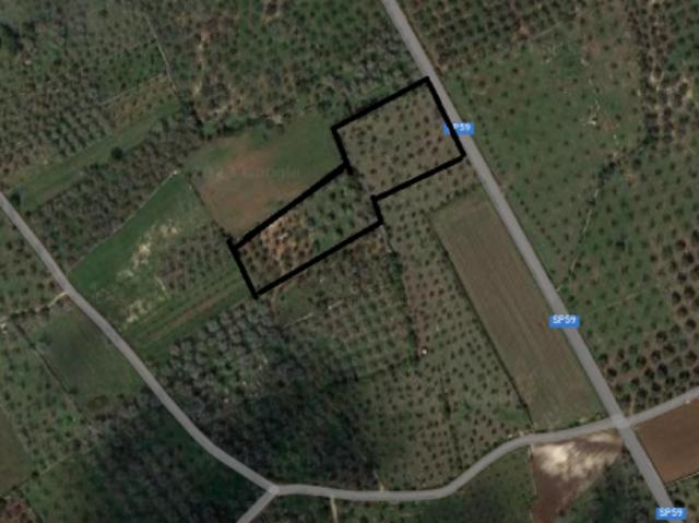 Terreno in vendita a Puglia, Lecce