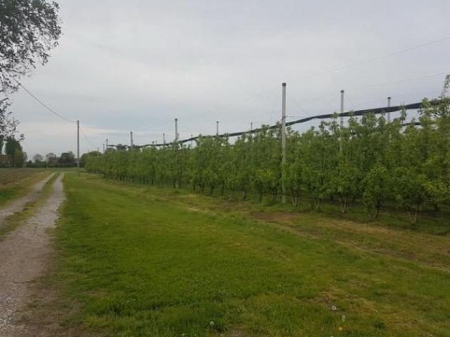 Terreno in vendita a Sozzigalli, Soliera