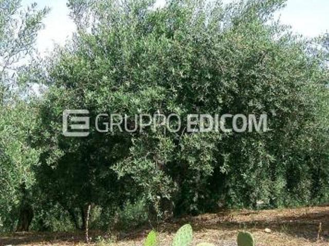Terreno in vendita a Belmonte Mezzagno, Sicilia