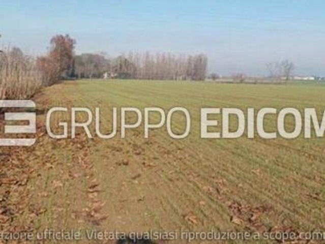 Terreno in vendita a Nogara, Veneto