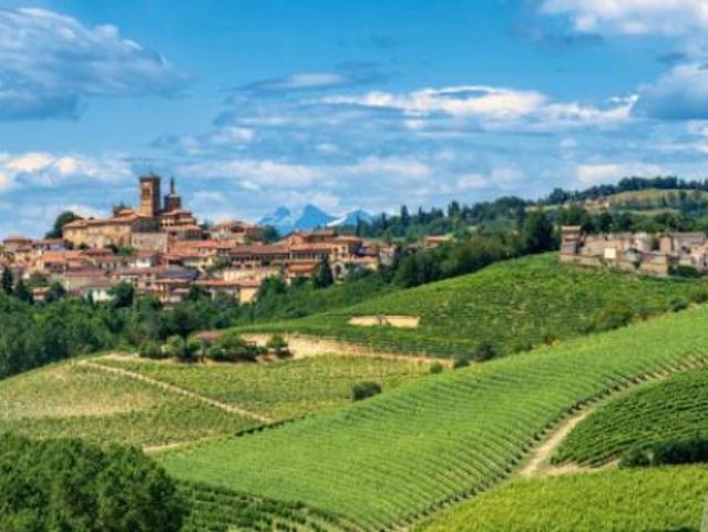 Terreno in vendita a Piemonte, Alessandria