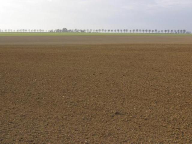 Terreno in vendita a Unione Comuni Modenesi Area Nord, San Prospero