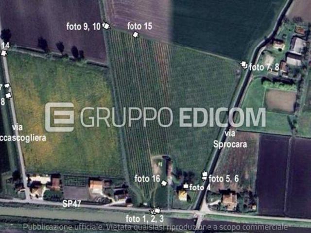 Terreno in vendita a Villa Bartolomea, Veneto