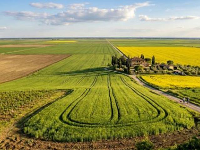 Terreno in vendita a Piemonte, Alessandria