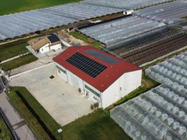 Terreno in vendita a Brenzone, Veneto