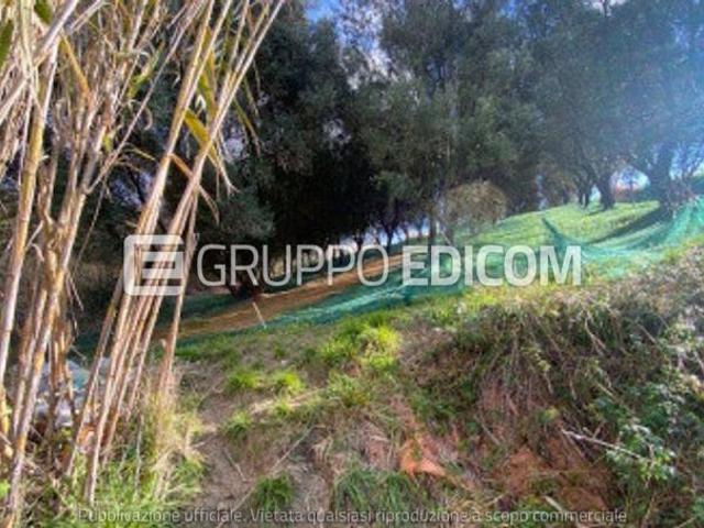 Terreno in vendita a Stefanaconi, Vibo Valentia