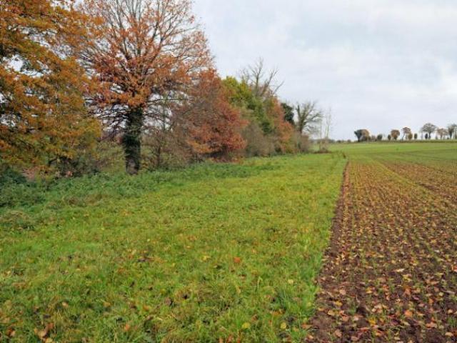Terreno in vendita a Bologna, Reggio Emilia