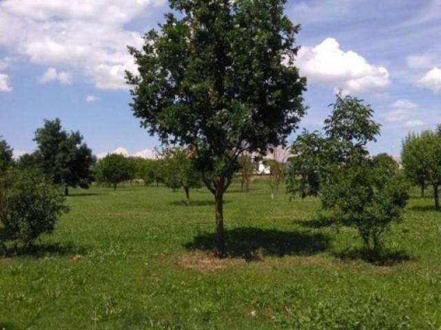 Terreno in vendita a Unione delle Terre d'Argine, Carpi