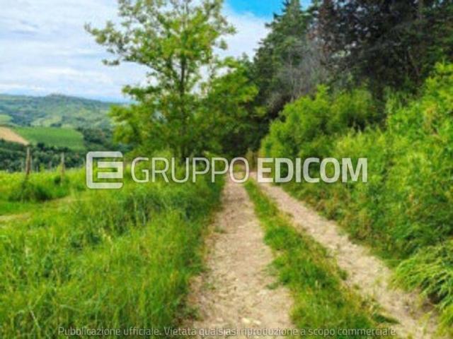 Terreno in vendita a Unione dei comuni Valle del Savio, Cesenà