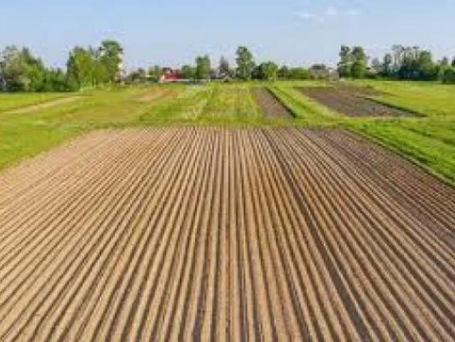 Terreno in vendita a Curtarolo, Veneto