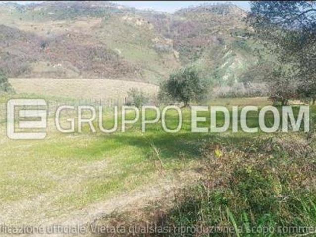 Terreno in vendita a Lattarico, Cosenza
